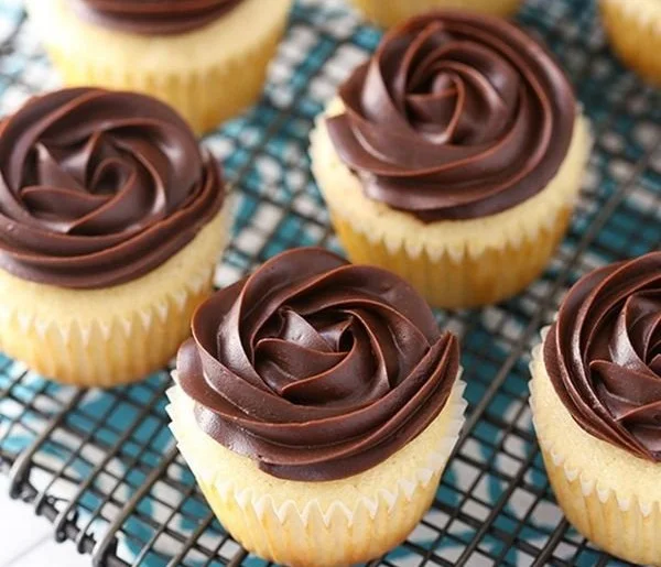 Boston Cream Pie Cupcakes with chocolate frosting and vanilla filling