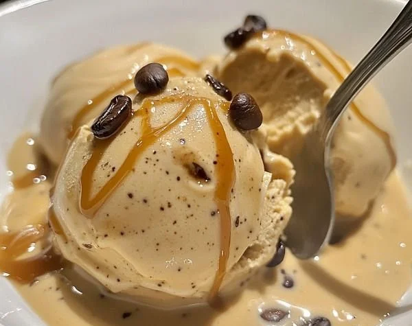 Italian-Style coffee gelato served in a bowl with coffee beans